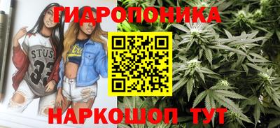 дмт Гатчина
