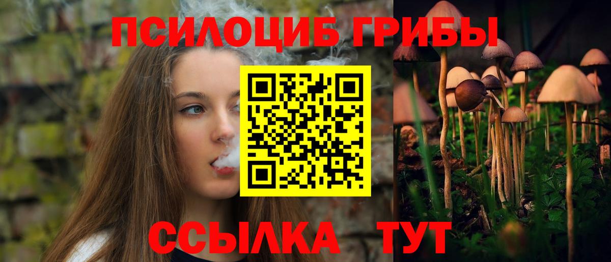 Нижнеудинск  Псилоцибиновые грибы MAGIC MUSHROOMS  Вход с VPN 