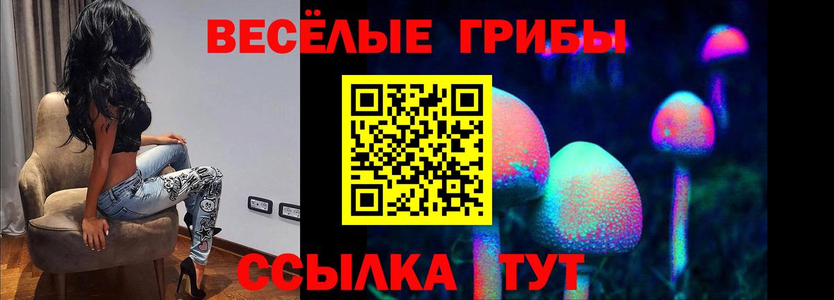 Галлюциногенные грибы мицелий Нижнеудинск